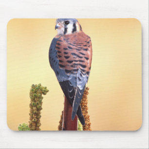 Kestrel, Falco sparverius, Native to US & Canada Mouse Mat