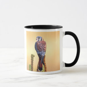 Kestrel, Falco sparverius, Native to US & Canada Mug