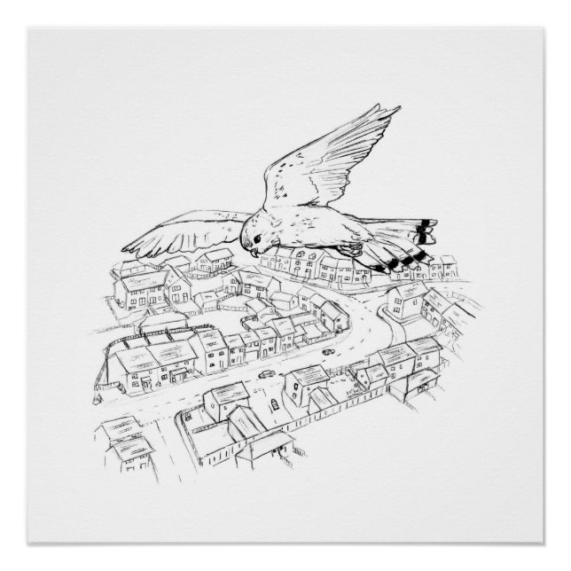 Kestrel over city (part 2 of a set) poster (Front)