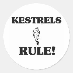 KESTRELS Rule! Classic Round Sticker