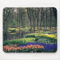 Keukenhof, a floral banquet