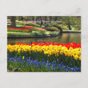 Keukenhof Flower Gardens Postcard