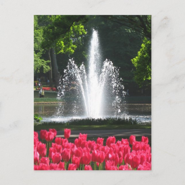 Keukenhof garden - Holland postcard (Front)