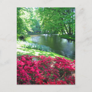Keukenhof garden - Holland postcard