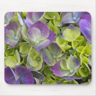 Keukenhof Garden Hydrangea Mouse Mat
