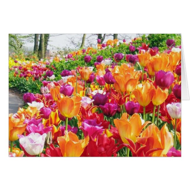 KEUKENHOF GARDENS (Front Horizontal)