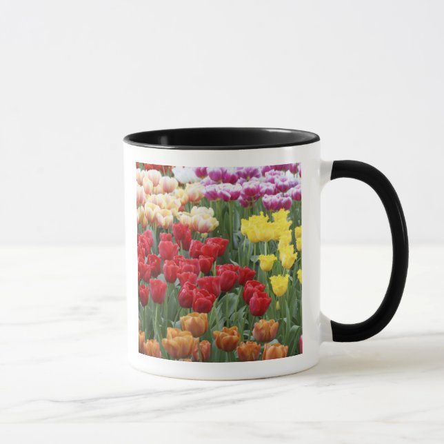Keukenhof Gardens, Holland, specialises in 2 Mug (Right)