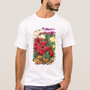Keukenhof Gardens, Holland, specialises in 2 T-Shirt