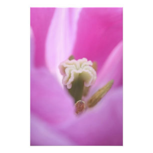 Keukenhof Gardens, Holland, specialises in 3 Photo Print