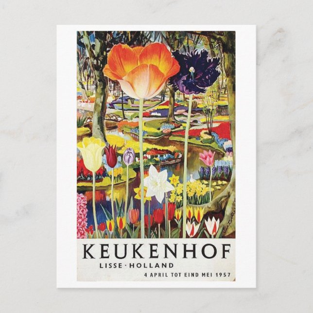 Keukenhof Gardens Holland Tulips Vintage Postcard (Front)