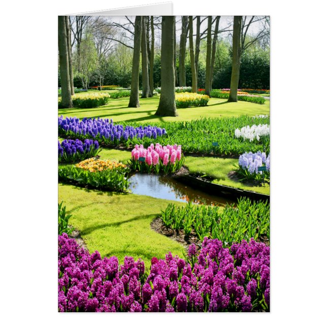 KEUKENHOF GARDENS, LISSE HOLLAND (Front)