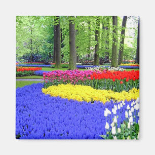 KEUKENHOF GARDENS, LISSE HOLLAND MAGNET