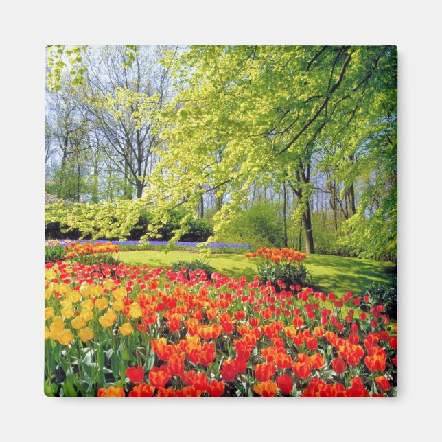 KEUKENHOF GARDENS, LISSE HOLLAND MAGNET (Front)
