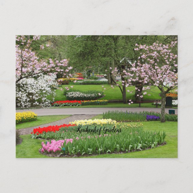 Keukenhof Gardens, Netherlands Postcard (Front)