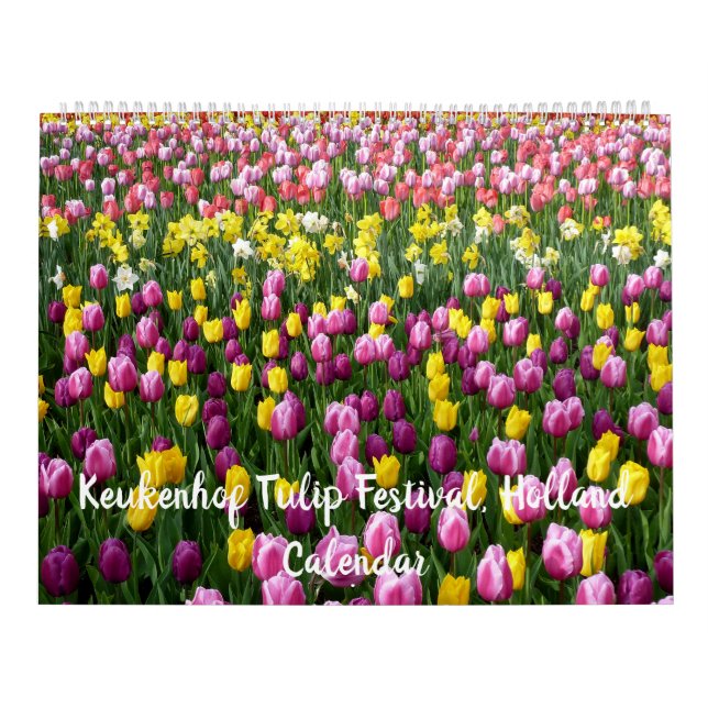 Keukenhof Tulip Festival, Holland - 2019 Calendar (Cover)