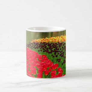 Keukenhof Tulip Festival, Holland Coffee Mug