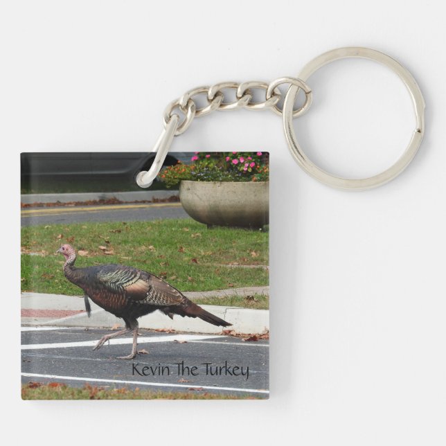 Kevin The Turkey - Old Wethersfield , CT (2 pics) Key Ring (Back)