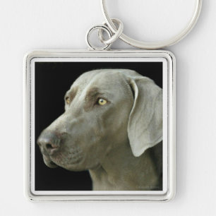 Key Chain - Head Study Weimaraner