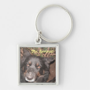 Key Chain Husky Collie Cross
