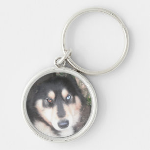 Key Chain Husky One Blue Eye One Brown Eye