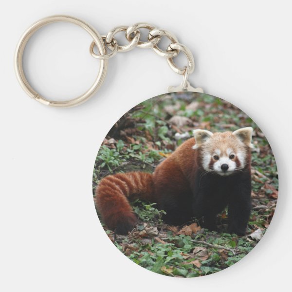 Red Panda Gifts & Gift Ideas | Zazzle UK