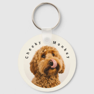 Key chain with photo of your pet & tel number