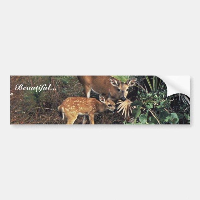 Key Deer Bumper Sticker (Front)