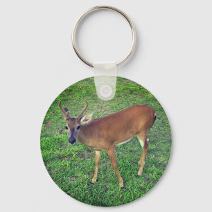 Key Deer Key Ring