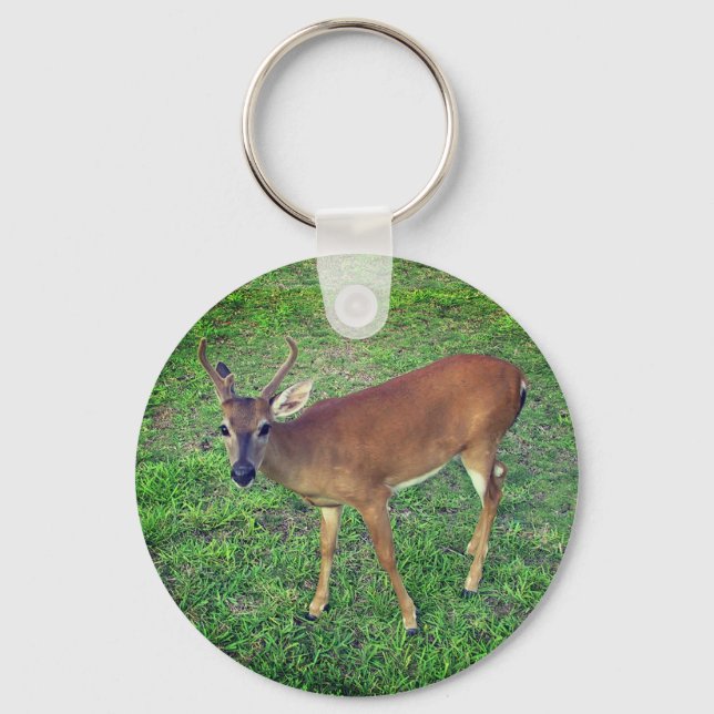 Key Deer Ring (Front)