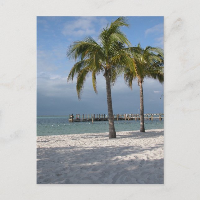 Key Largo Florida beach scene Postcard (Front)