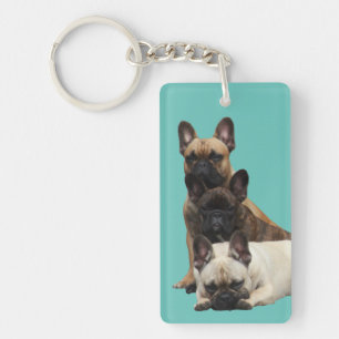 Key supporters of French Bulldoggen Ring