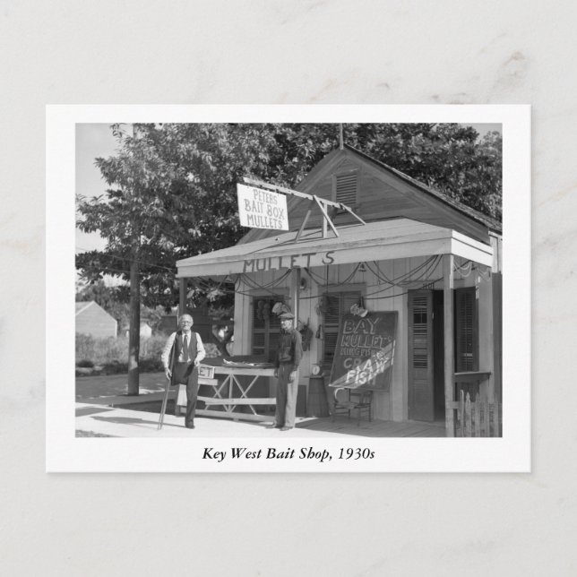 Key West Bait Shop, 1930s Postcard (Front)