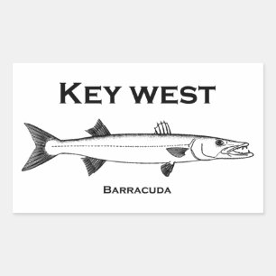 Key West Barracuda Rectangular Sticker