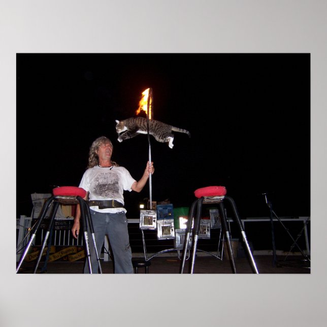 Key West Cat Man Poster (Front)