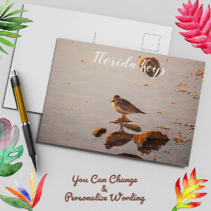 Key West Florida Bird at Sunset Postcard