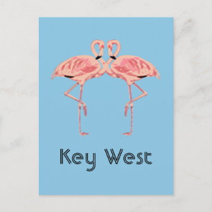 Key West Florida Pink Flamingo Couple Postcard