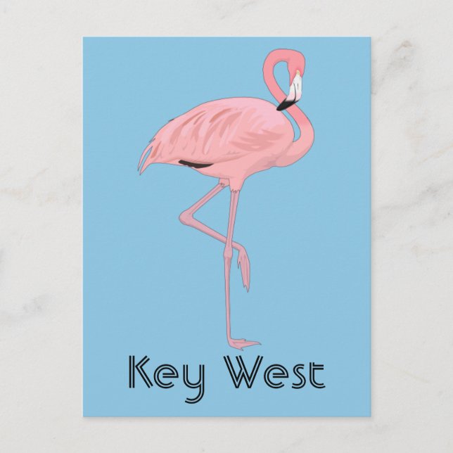 Key West Florida Pink Flamingo Postcard (Front)