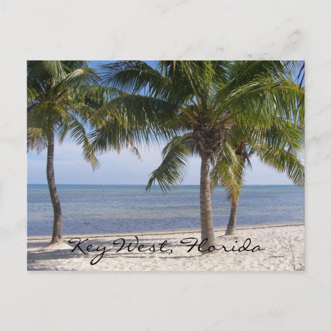 Key West, Florida Postcard (Front)
