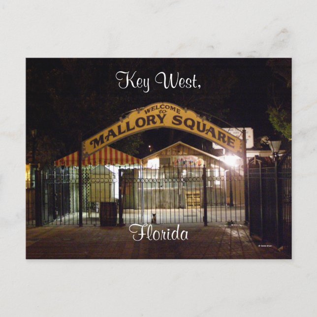 Key West, Florida Postcard (Front)