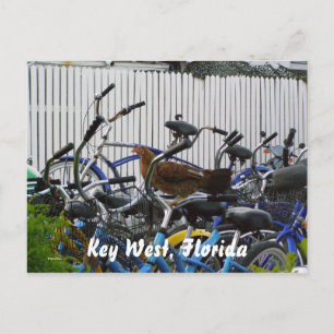 Key West, Florida Postcard