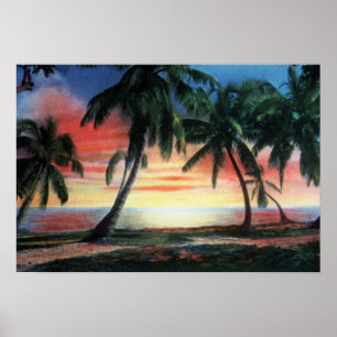 Key West Florida Tropical Sunset Poster