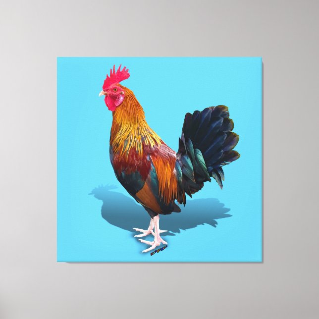 Key West - Gypsy Rooster Canvas Print (Front)