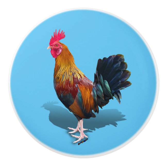 Key West - Gypsy Rooster Ceramic Knob (Front)