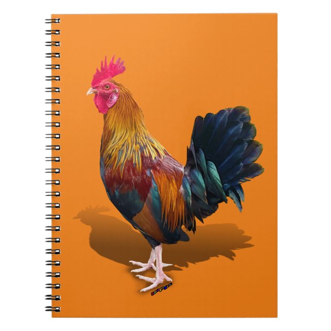 Key West - Gypsy Rooster  Notebook (Front)