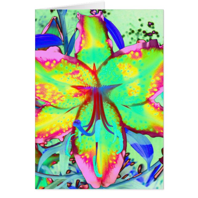 Key West Lily (Front)