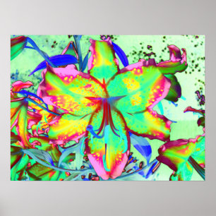 Key West Lily, green pink tropical flowers  Poster