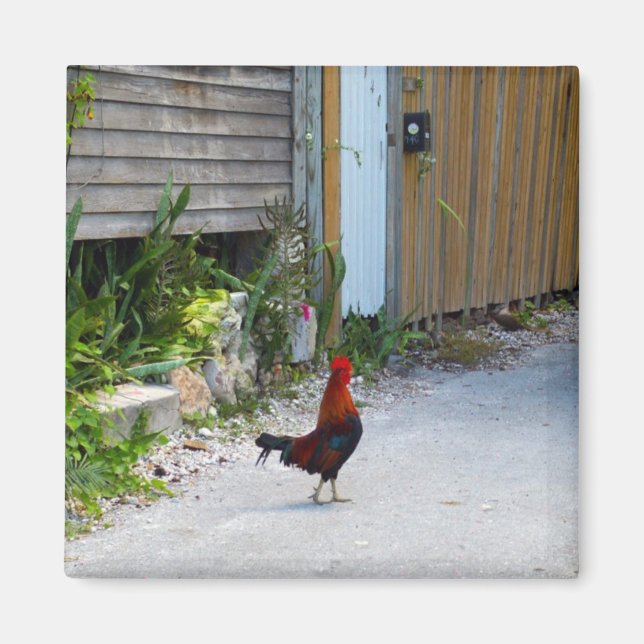 Key West Rooster Magnet (Front)
