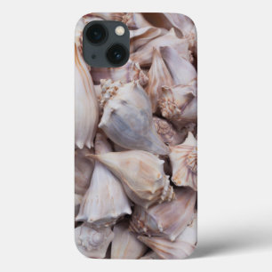 Key West, seashells iPhone 13 Case