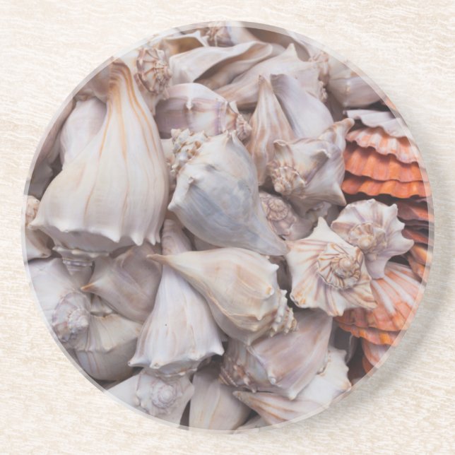 Key West, seashells Coaster (Front)