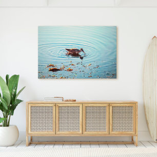 Key West Shorebird Ocean Scene Florida Keys Canvas Print